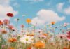 Primavera chega nesta terça-feira e renova as cores da natureza